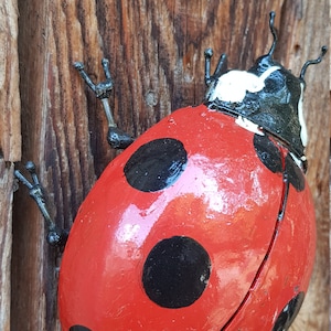 Marienkäfer, recyceltes Metallinsekt, Garteninsekt, Entomologie, Natur, Gartendekoration, Käfer