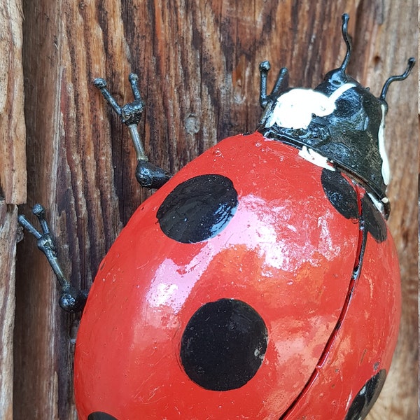 coccinelle, insecte metal recyclé, insecte des jardins , entomologie, nature, décoration de jardin,coléoptère