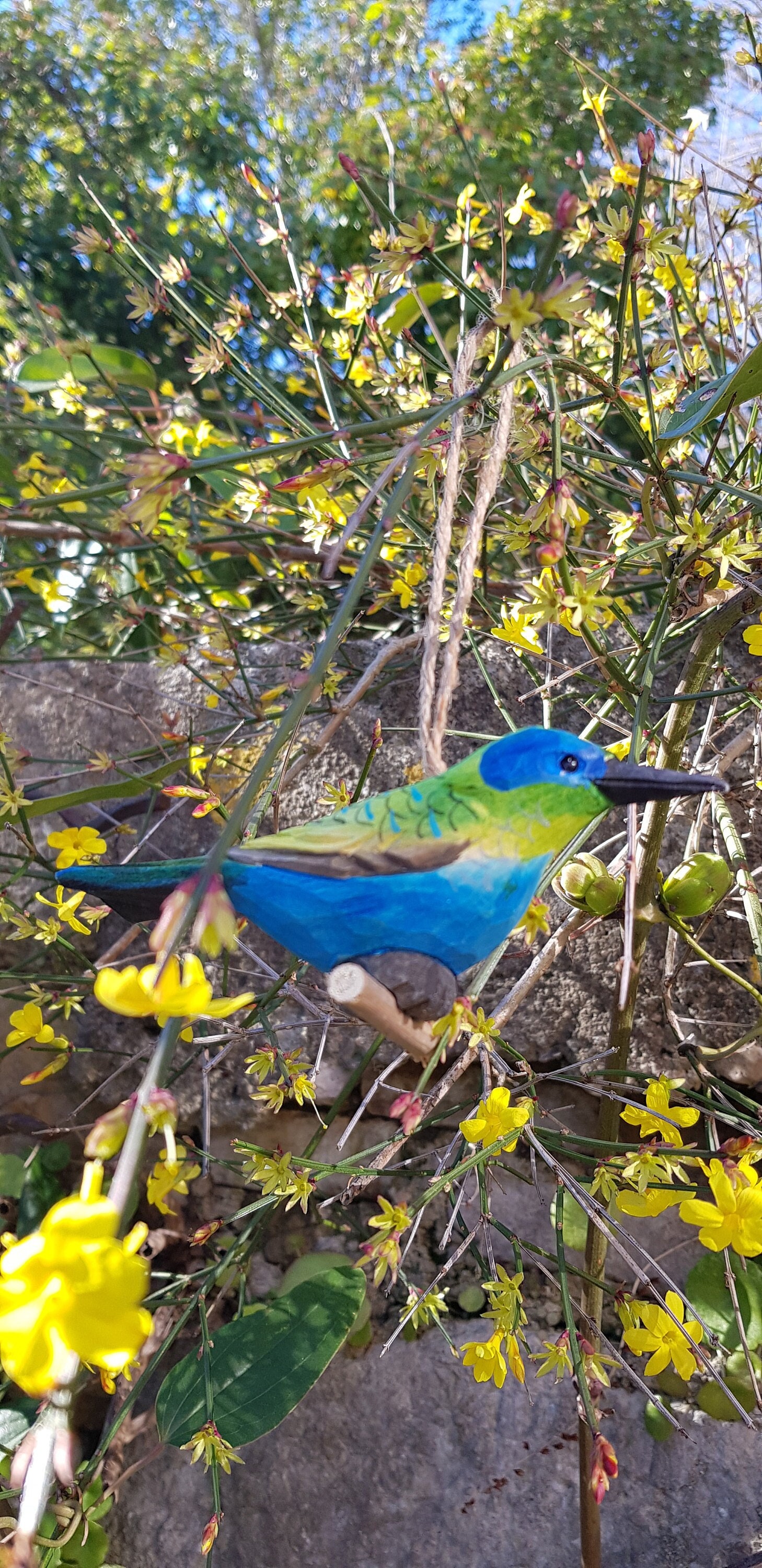 Oiseau Bois à Suspendre, Colibri, Oiseau Exotique, Colibri d'anaïs