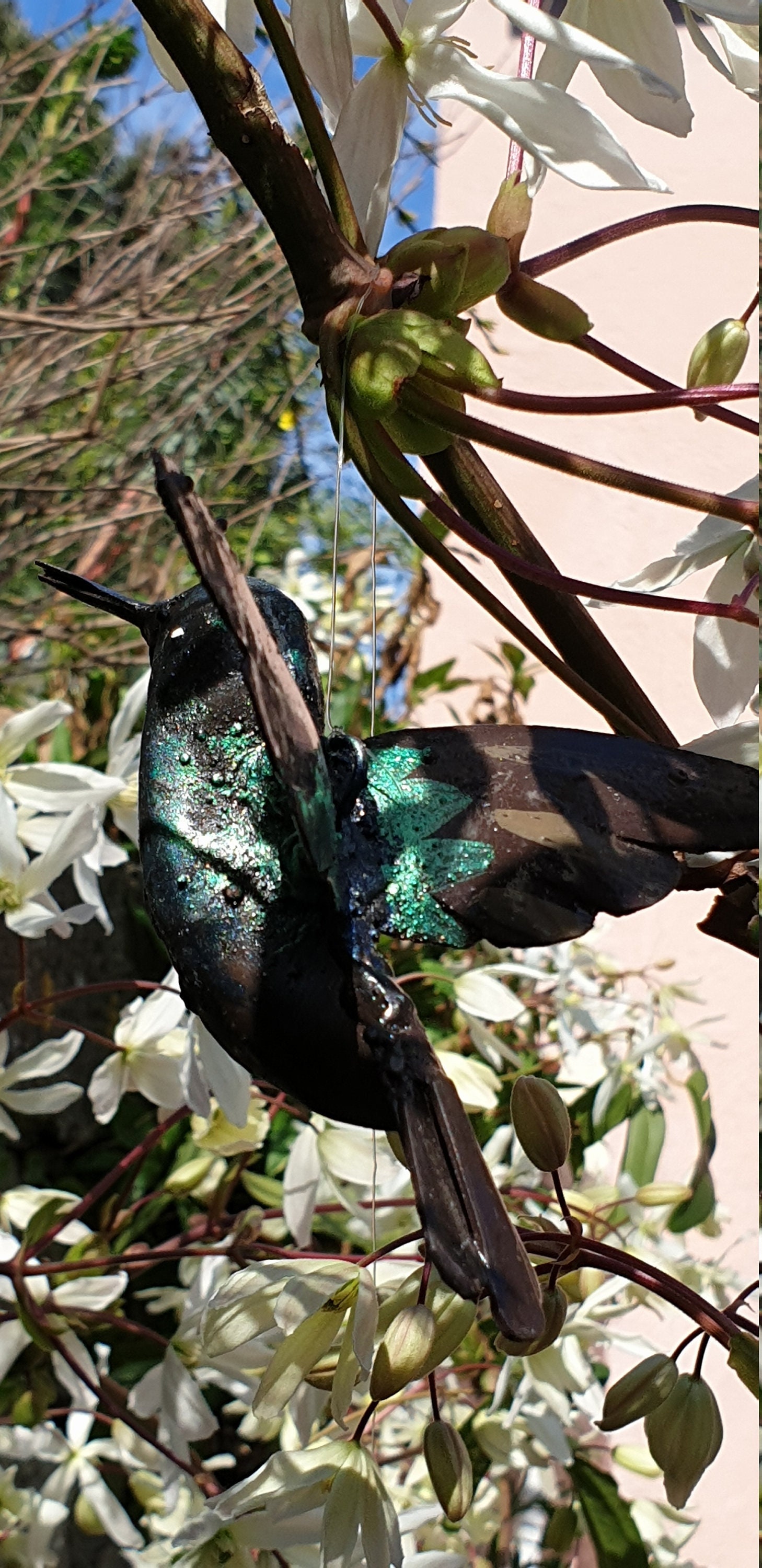 Colibri en Vol à Suspendre, Oiseau Exotique