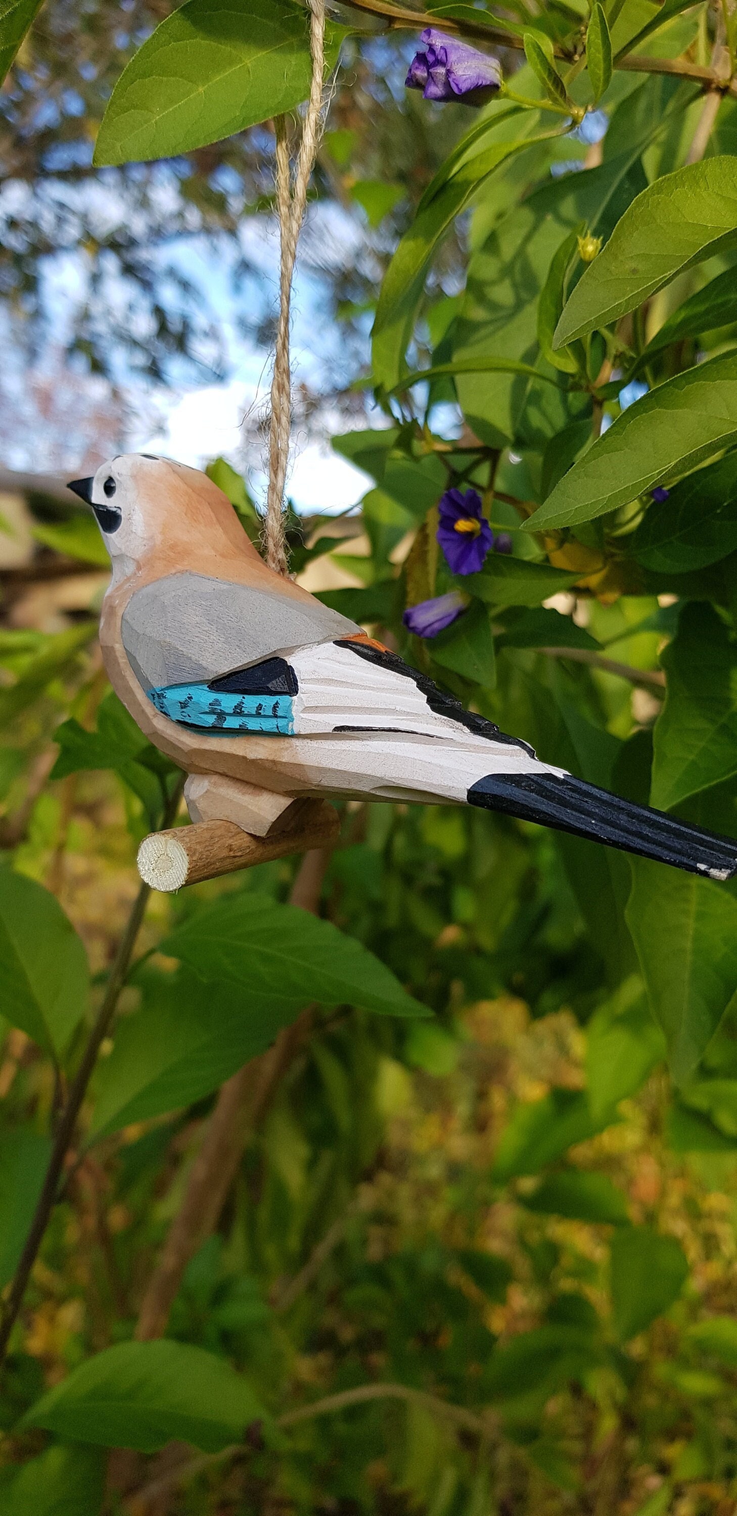 Oiseau Bois, Geai Des Chênes, Oiseaux Bois