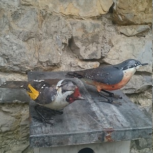 chardonneret en metal recyclé, oiseaux des jardins image 8