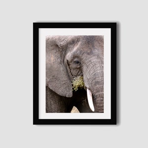 Elephant photography print // Africa photography // Elephant print // Elephant art // Travel photography // Wall art // Wall decor