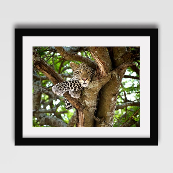 Leopard Photography Print // Africa photography // Leopard print // Leopard art // Travel photography // Wall art // Wall decor