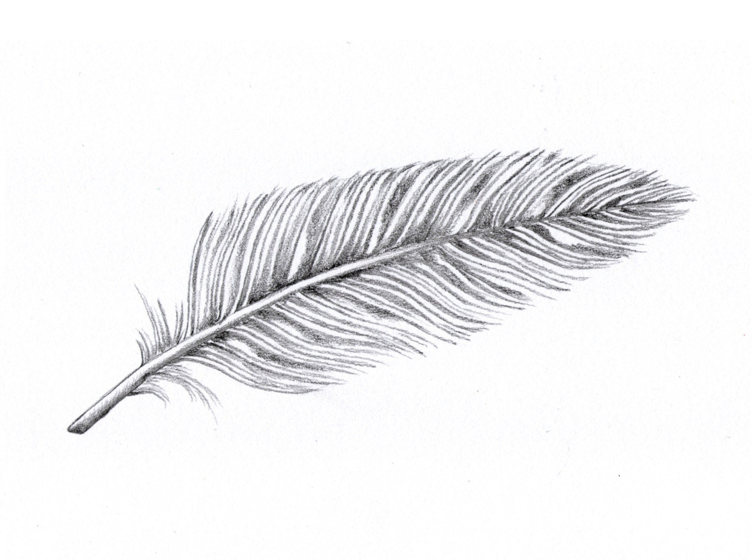 Handmade Sympathy Card // Pencil Drawing // Feather // | Etsy