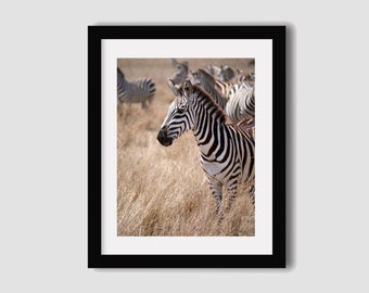 Zebra Photography Print // Africa photography // Zebra print // Zebra art // Travel photography // Wall art // Wall decor