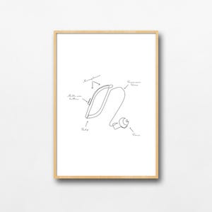 Hearing Aid Line Art Print: Audiology Gift, Resound Detail (Digital Download)