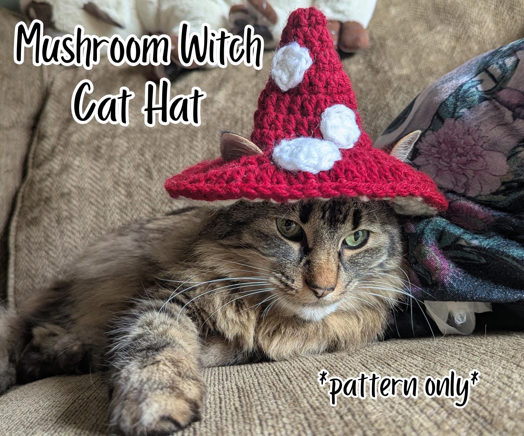 Mushroom Witch Cat Hat Pattern