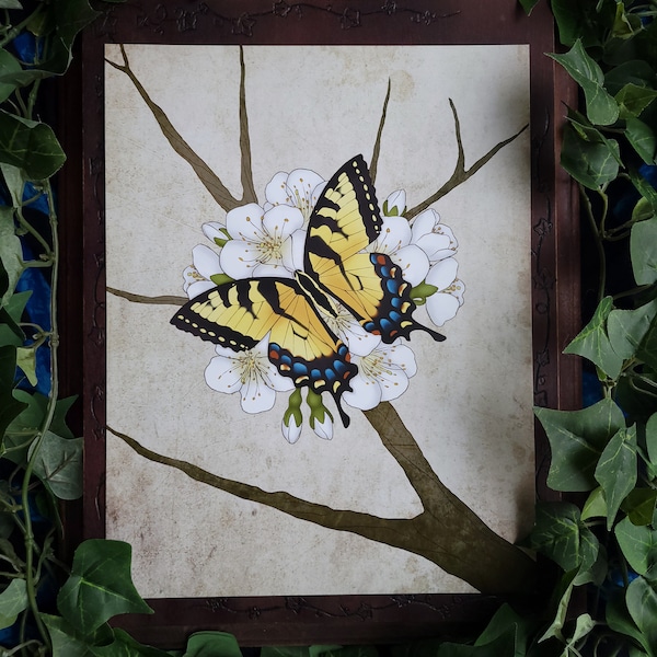 Tiger Swallowtail 8.5x11 Print
