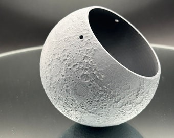 NASA Moon Hanging Planter