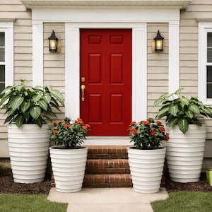 Maceta sin mantenimiento / Decoración del hogar / Jarrón / Macetero / Macetas / Macetas para árboles / Gran formato