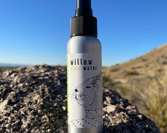 willow plantwater