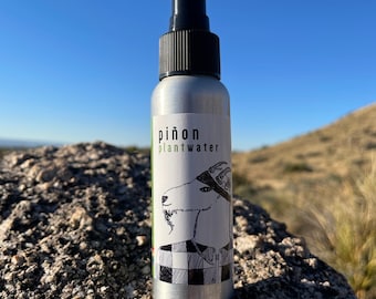 piñon plantwater