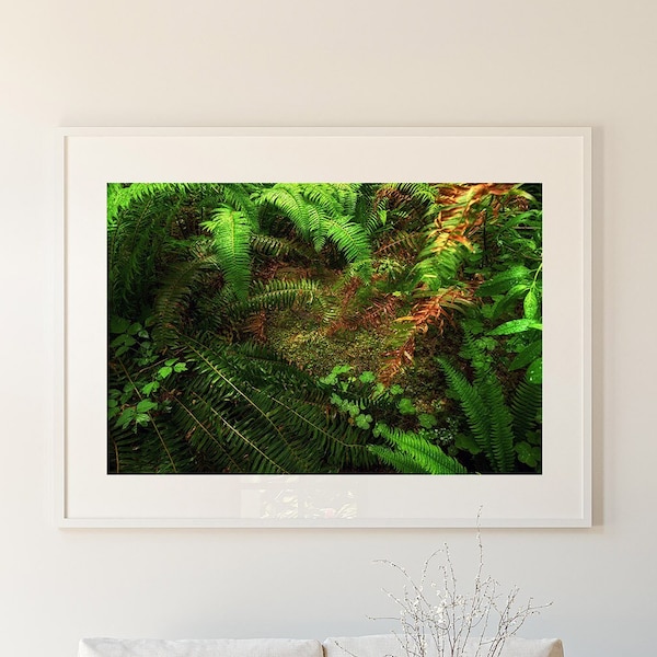 Forest Moss and Fern Wall Art Print - Vibrant Green Nature Inspired Home Decor - Pacific Northwest Photo - PNW Photography
