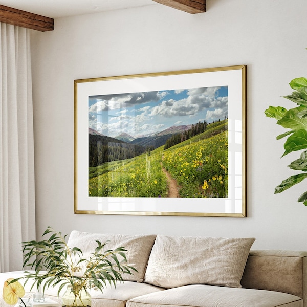 Rocky Mountain Hiking Photo, Colorado Wall Art, Summer Wildflowers and Blue Sky, Nature Home Decor