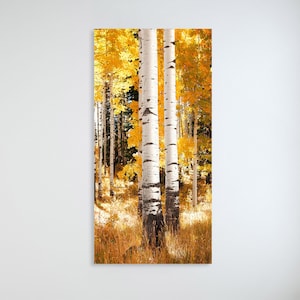 Aspen Tree Forest Metal Wall Art: Southwest Colorado Nature Photography