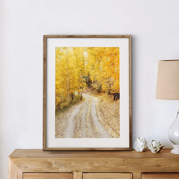 Colorado Aspen Photo, Forest Wall Art, Fall Landscape, Canvas Wall Art, Colorado Wall Art, Nature Wall Art, Home Decor, Birch Tree Picture