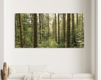 Oregon Forest - Nature Metal Wall Art Print - Glossy Aluminum Picture - Trees Landscape Photo - Rustic Modern - Home Office Decor