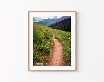 Colorado Wildflower Print: Crested Butte Mountain Hiking Photography