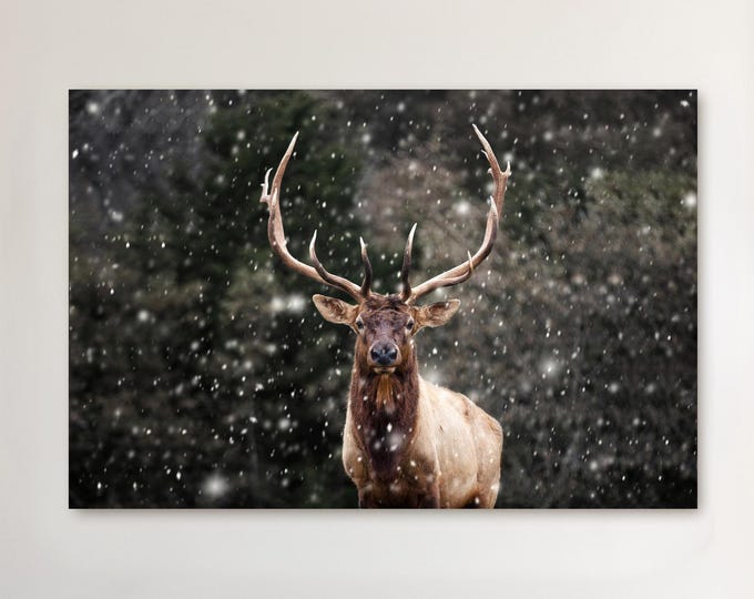 Cabin Decor: Winter Elk, Canvas or Photo Print, Rustic Home Decor for Cabin Lodge