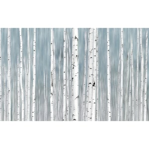 Blue Aspen Tree Canvas Print: Minimalist Home Decor
