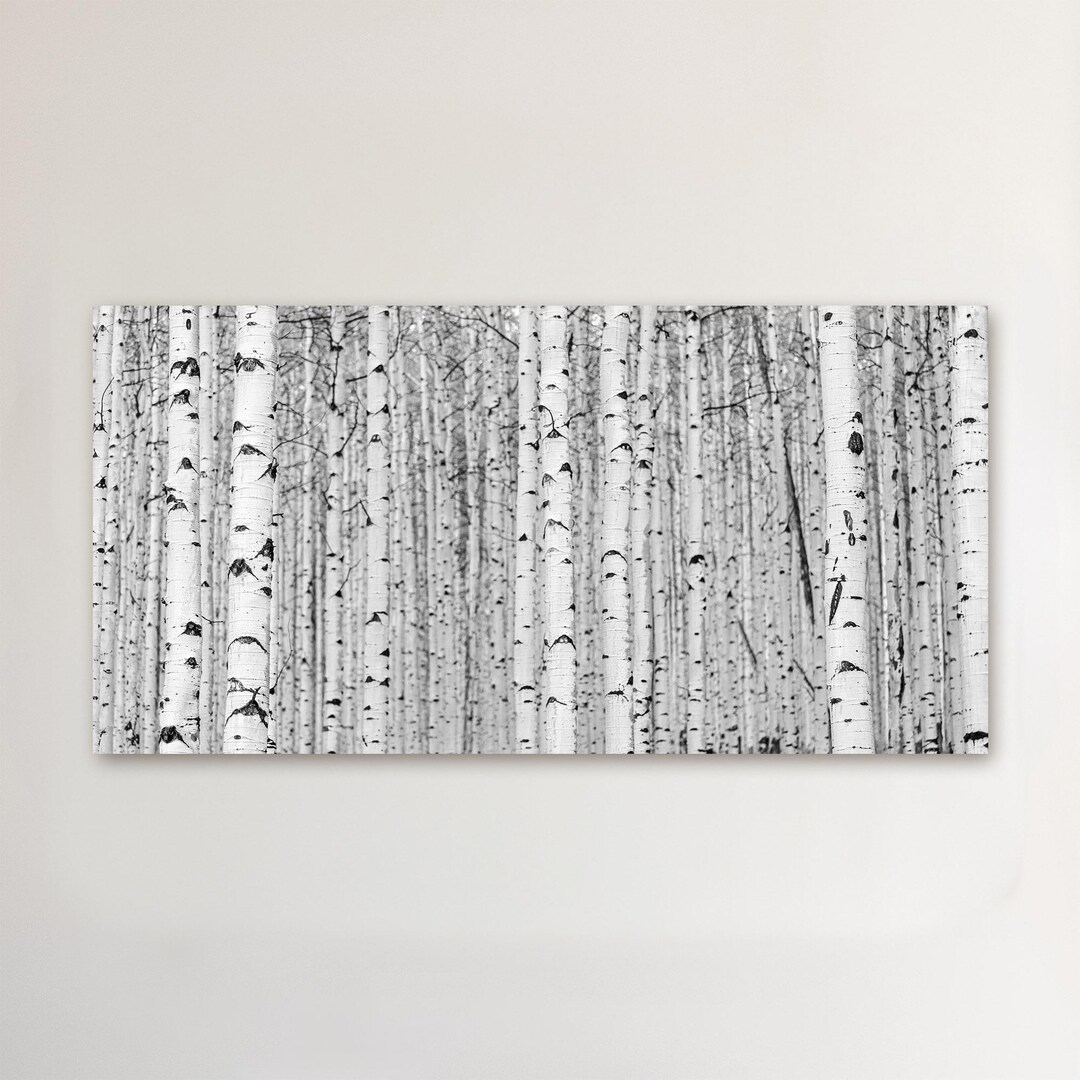 Black and White Aspen Forest, Canvas Wall Art, Colorado Photography ...