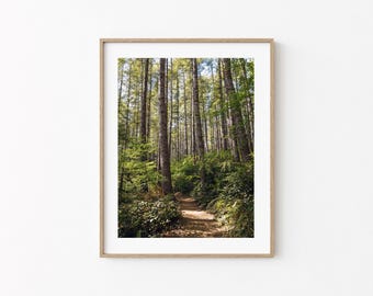 Oregon Forest Trail Photo Art Print – Nature Photography, Hiking Gift