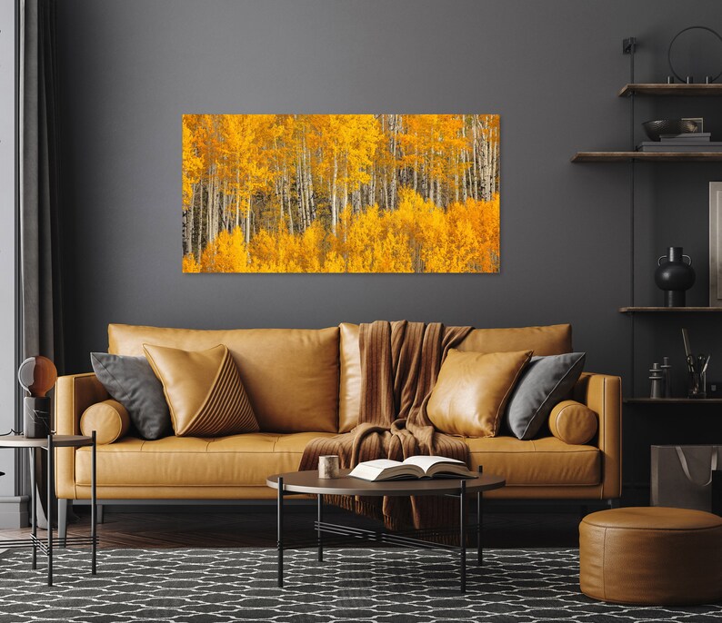 Fall Aspen Tree Picture, White Birch, Aspen Tree Wall Art, Canvas Wall Art, Forest Photo, Colorado, Nature photography, Nature Wall Art image 3