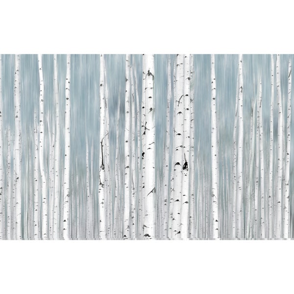 Birch Tree Wall Art Etsy