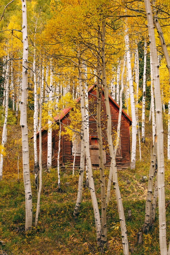 Log Cabin Decor Colorado Photography Colorado Wall Art Etsy