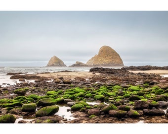 Tunnel Beach Oceanside Oregon Photo - Coastal Wall Art - Gallery Canvas Prints - Nature Sea Photography Home Decor for Living Room Bedroom