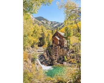 Colorado Crystal Mill Wall Art, Aspen Tree, Birch Tree, Nature Photography, Gallery Wrap Canvas, Nature Wall Art