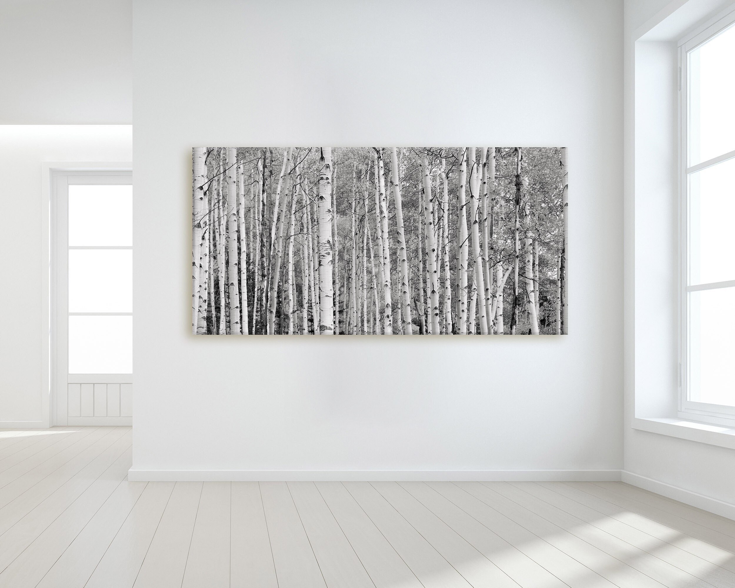 Black and White Aspen Tree Canvas Wall Art Nature Etsy