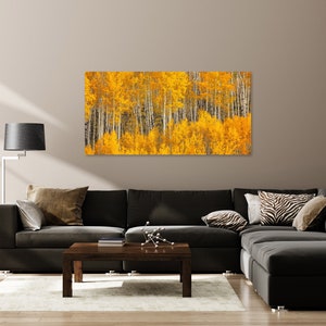 Fall Aspen Tree Picture, White Birch, Aspen Tree Wall Art, Canvas Wall Art, Forest Photo, Colorado, Nature photography, Nature Wall Art image 2