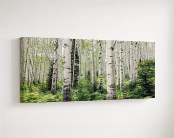 Panoramic Aspen Tree Forest Wall Art: Colorado Photography for Home or Office Decor