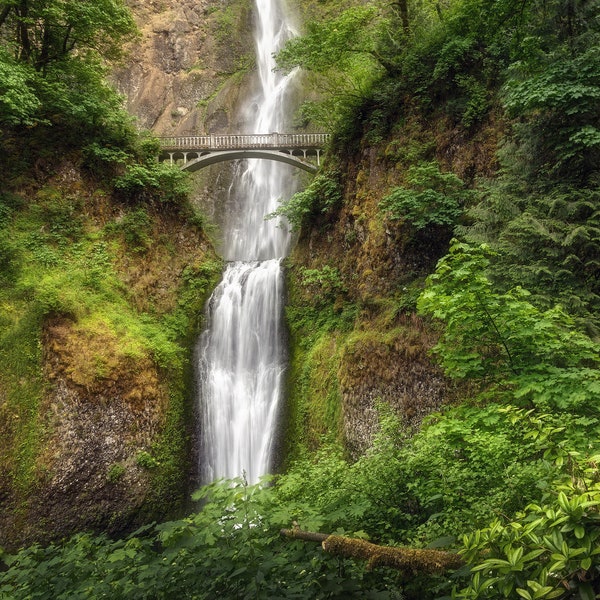 Glossy Acrylic Wall Art Multnomah Falls  - Lush Green Forest Waterfall - Home Decor - Columbia River Gorge - Oregon Photography