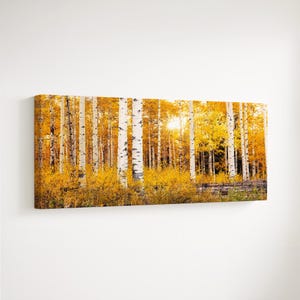 Golden Aspen Trees Canvas Print: Colorado Autumn Landscape Wall Art