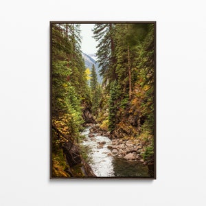 Colorado Mountain Forest, Framed Canvas Wall Art, Nature Photography, Rustic Home Decor