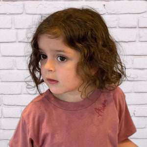 Kid&#39;s Tee, Embroidered Name or Monogram on a T-shirt/  Kid&#39;s Custom Embroidered Short Sleeve Triblend T-shirt
