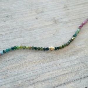 May include: A multi-colored gemstone necklace with a gold accent. The necklace is made of small, round beads in shades of pink, green, and blue.