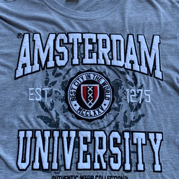 Vintage Amsterdam University T Shirt Size Small Awesome Stitched Felt Letters Logo EUC Excellent Condition Classic Gray