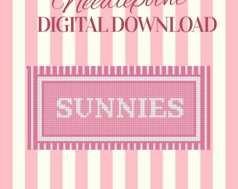 Needlepoint Sunglasses Case Pattern PDF | Sunnies Glasses Holder Chart | Preppy Stitch Design | Digital Download