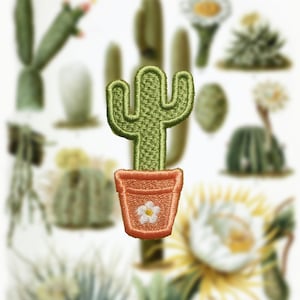 Könnte beinhalten: Ein grüner Kaktus mit einer einzelnen weißen Blüte in einem Terrakotta-Topf. Der Kaktus ist mit grünem Garn gestickt und der Topf mit rosa Garn.