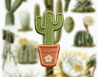 Novità! Campo di cactus!