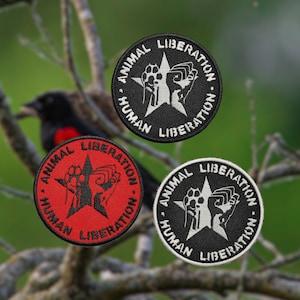 Op de afbeelding: Drie ronde zwarte en witte patches met een rode patch in het midden. Elke patch heeft een vijfpuntige ster met een menselijke vuist en een dierenpoot die in elkaar grijpen. De tekst op de patches luidt "Animal Liberation Human Liberation".