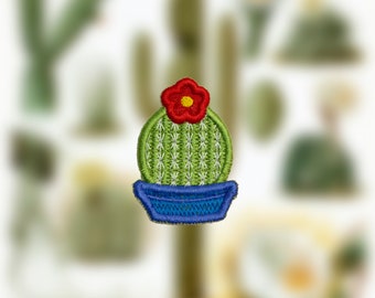 Nuovo! Piccola patch cactus!