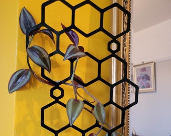 Indoor Plant Trellis, Plant Support, Honeycomb Trellis, Plant Support,  Houseplant Trellis, Plant Lover Gift