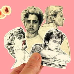 Pacchetto adesivi Chiamami col tuo nome - Elio e Oliver - Timothée Chalamet