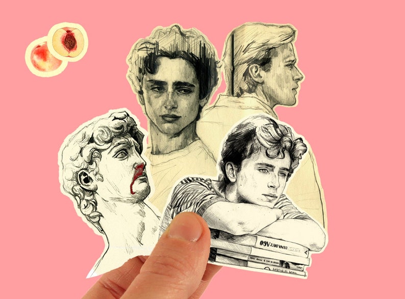 Call me by your name Sticker Pack - Elio and Oliver - Timothée Chalamet 