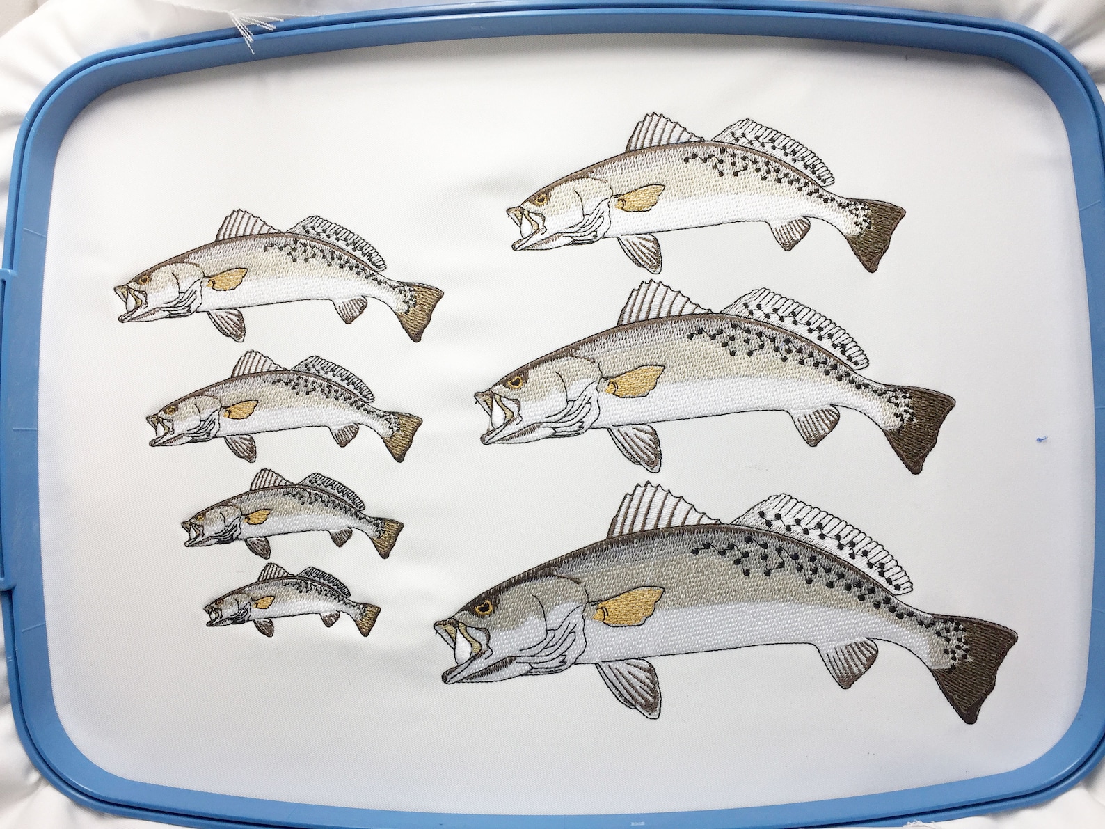 Speckled Trout Embroidery Design Etsy